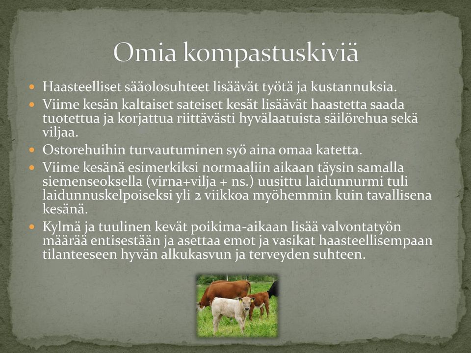 Ostorehuihin turvautuminen syö aina omaa katetta. Viime kesänä esimerkiksi normaaliin aikaan täysin samalla siemenseoksella (virna+vilja + ns.