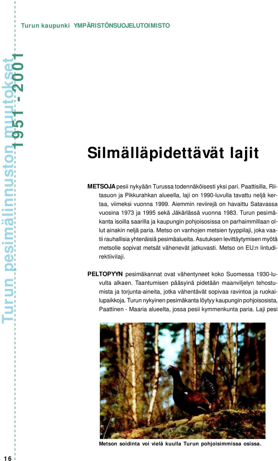 Aiemmin reviirejä on havaittu Satavassa vuosina 1973 ja 1995 sekä Jäkärlässä vuonna 1983. Turun pesimäkanta isoilla saarilla ja kaupungin pohjoisosissa on parhaimmillaan ollut ainakin neljä paria.