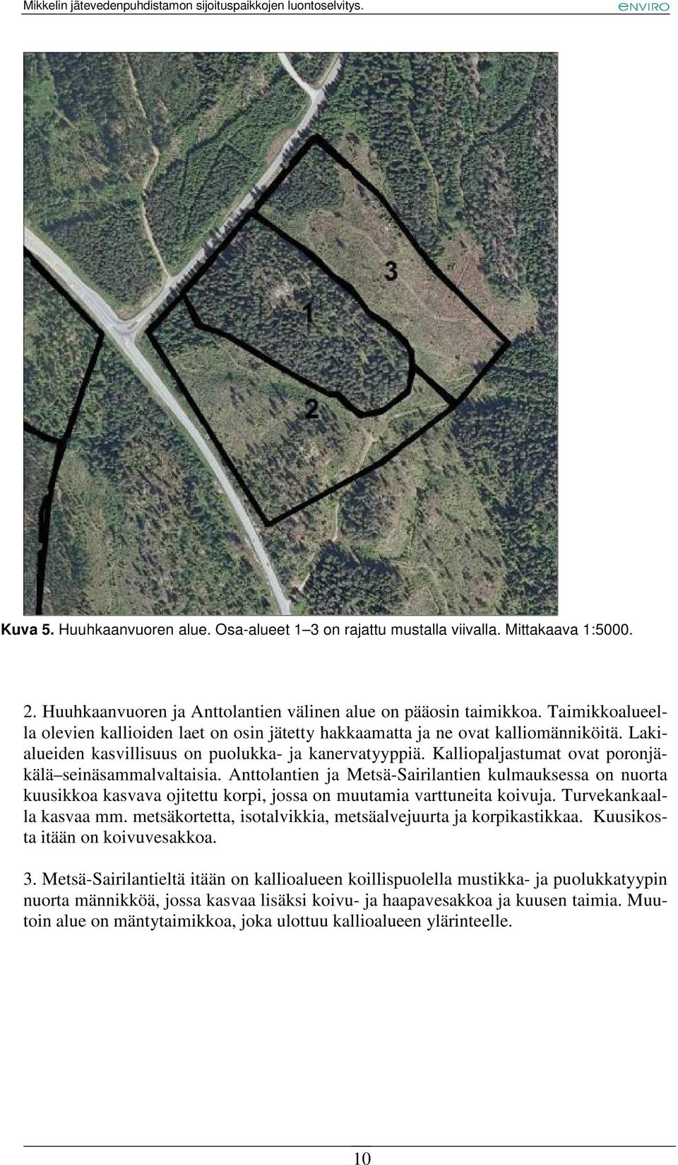 Kalliopaljastumat ovat poronjäkälä seinäsammalvaltaisia. Anttolantien ja Metsä-Sairilantien kulmauksessa on nuorta kuusikkoa kasvava ojitettu korpi, jossa on muutamia varttuneita koivuja.