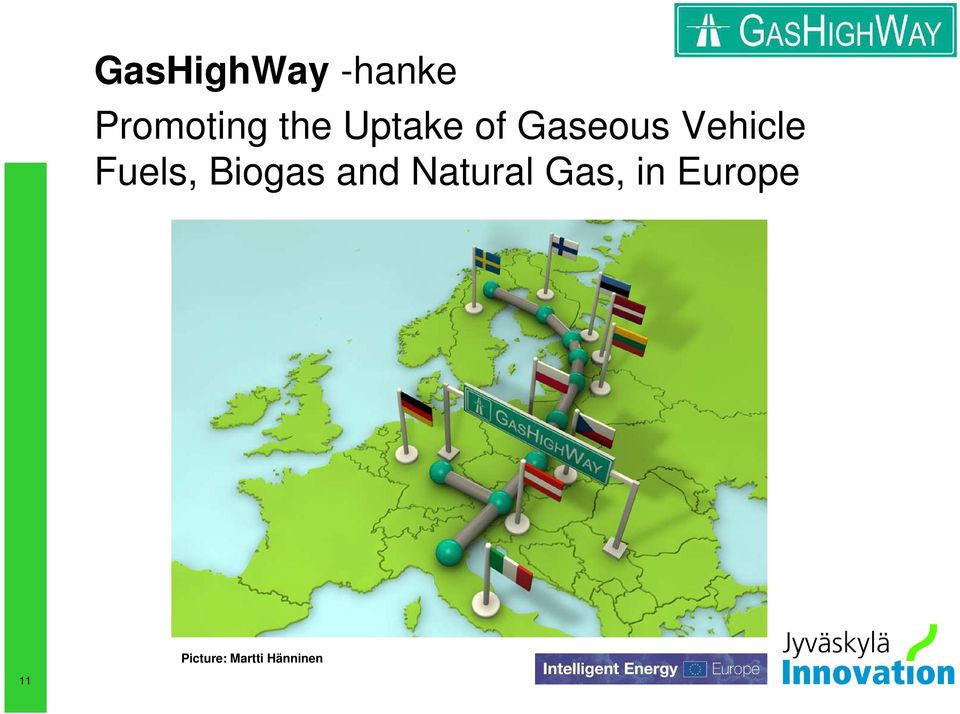 Fuels, Biogas and Natural Gas,