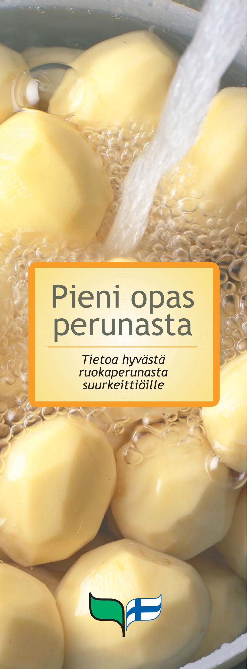 hyvästä