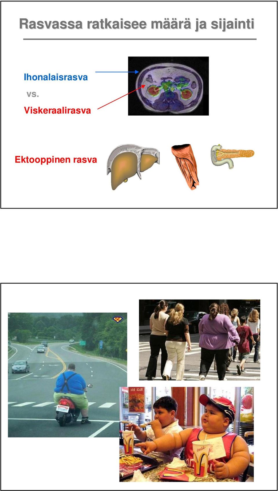 Ihonalaisrasva vs.