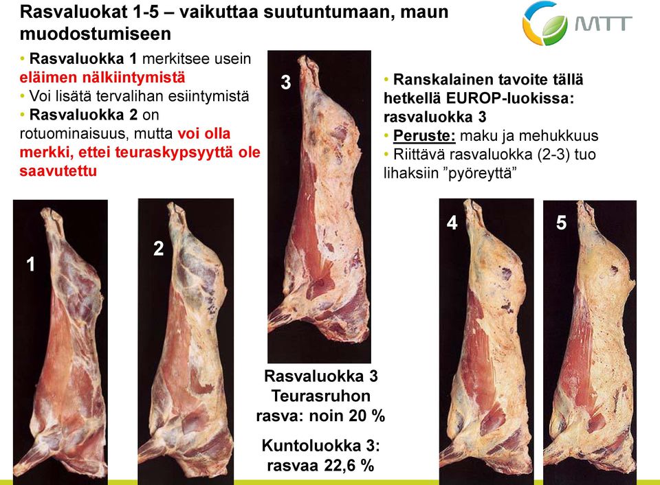 saavutettu 3 Ranskalainen tavoite tällä hetkellä EUROP-luokissa: rasvaluokka 3 Peruste: maku ja mehukkuus Riittävä