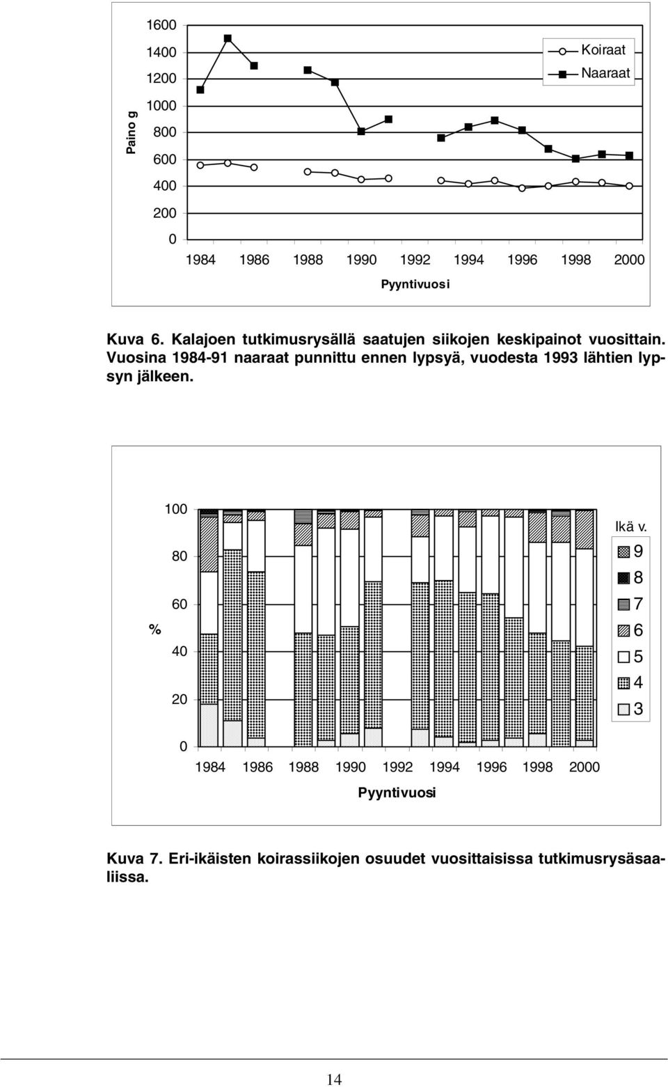 Vuosina 1984-91 naaraat punnittu ennen lypsyä, vuodesta 1993 lähtien lypsyn jälkeen. 100 80 60 % 40 20 Ikä v.