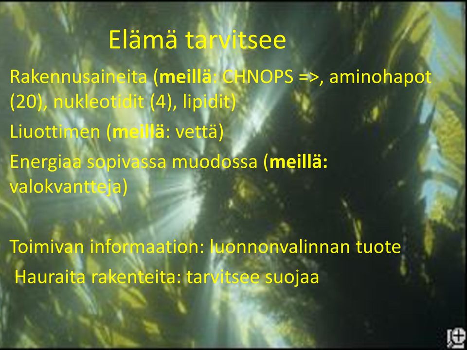 Energiaa sopivassa muodossa (meillä: valokvantteja) Toimivan