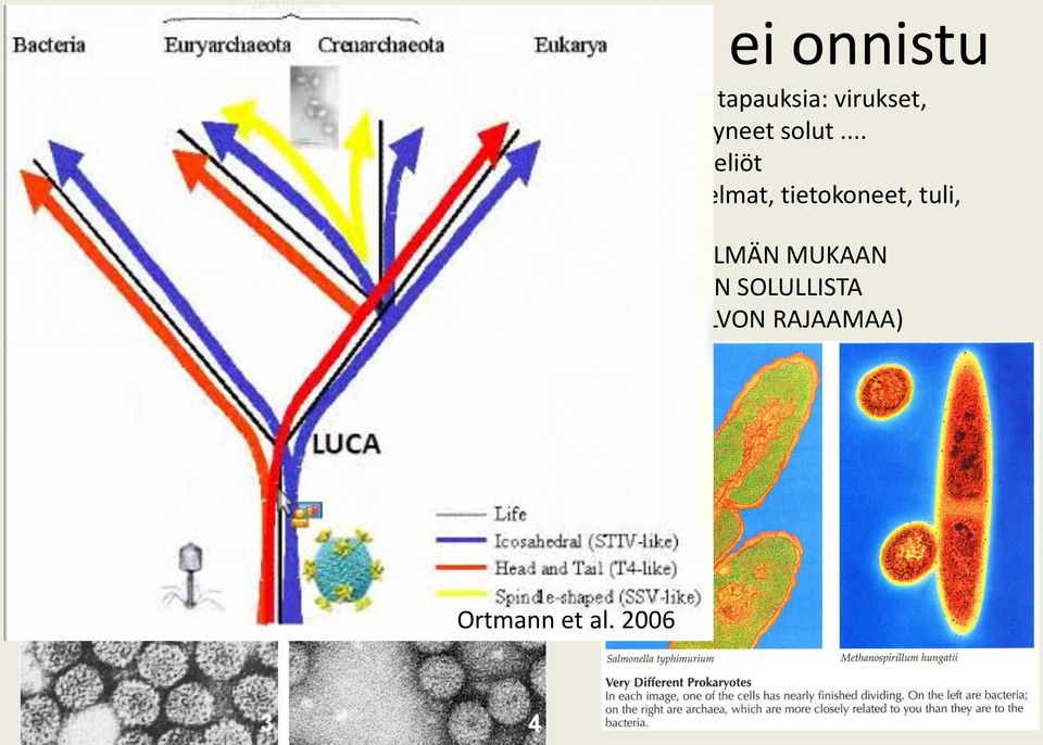 .. Monisoluiset eliöt tietokoneohjelmat, tietokoneet, tuli,