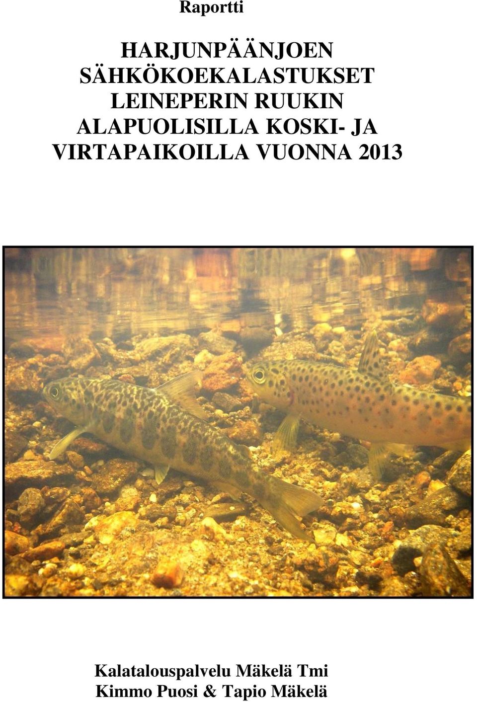 ALAPUOLISILLA KOSKI- JA VIRTAPAIKOILLA