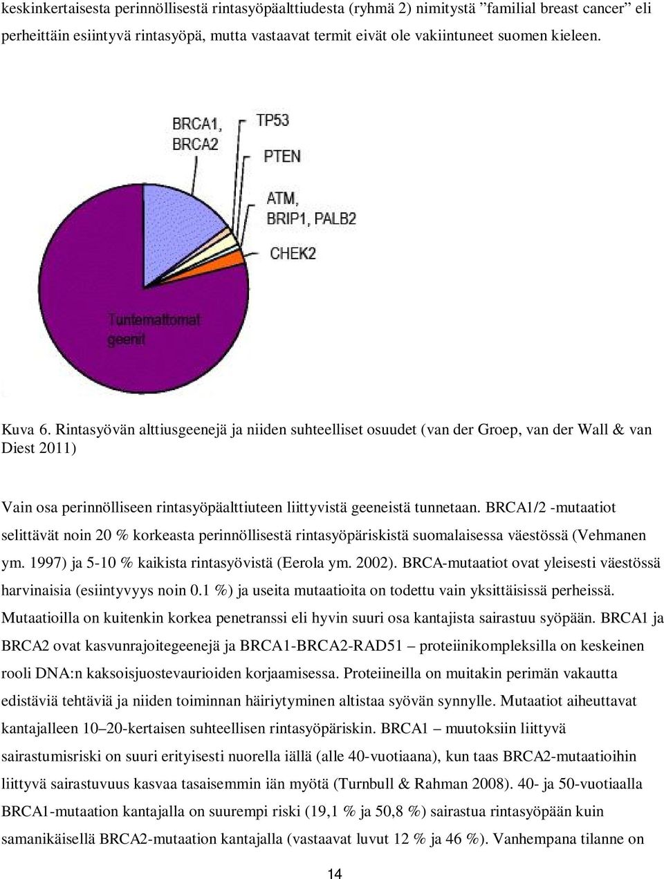 BRCA1/2 -mutaatiot selittävät noin 20 % korkeasta perinnöllisestä rintasyöpäriskistä suomalaisessa väestössä (Vehmanen ym. 1997) ja 5-10 % kaikista rintasyövistä (Eerola ym. 2002).