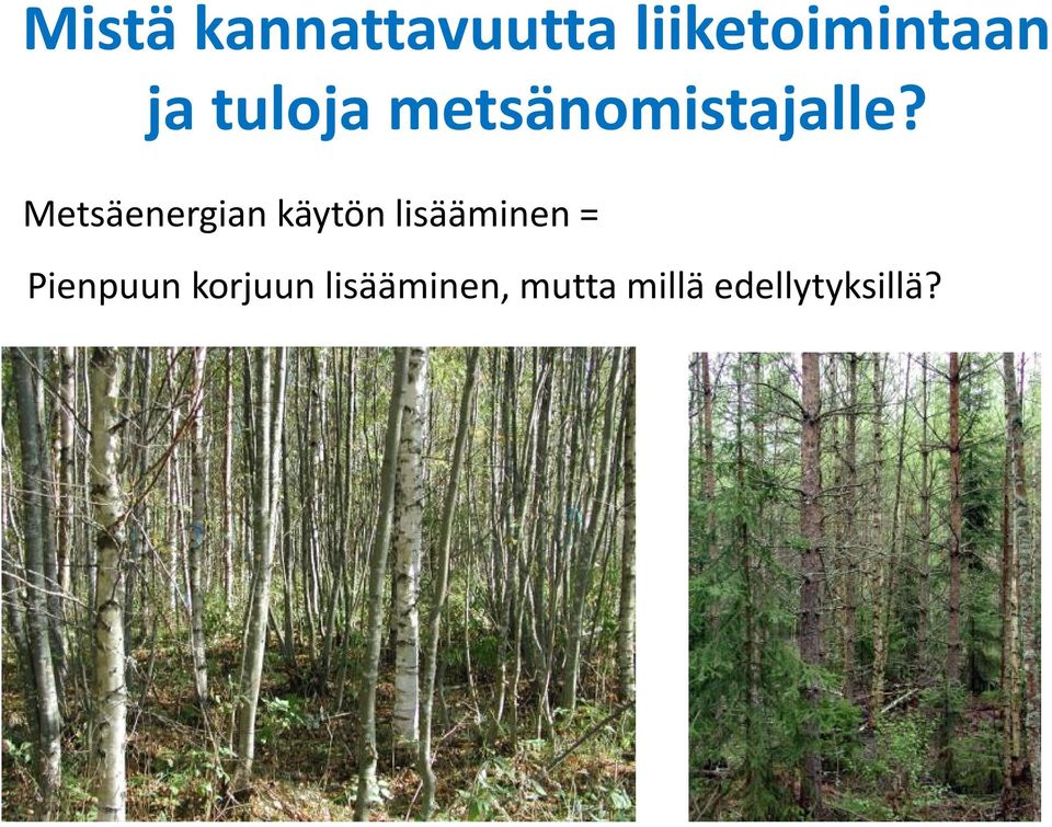 Metsäenergian käytön lisääminen =