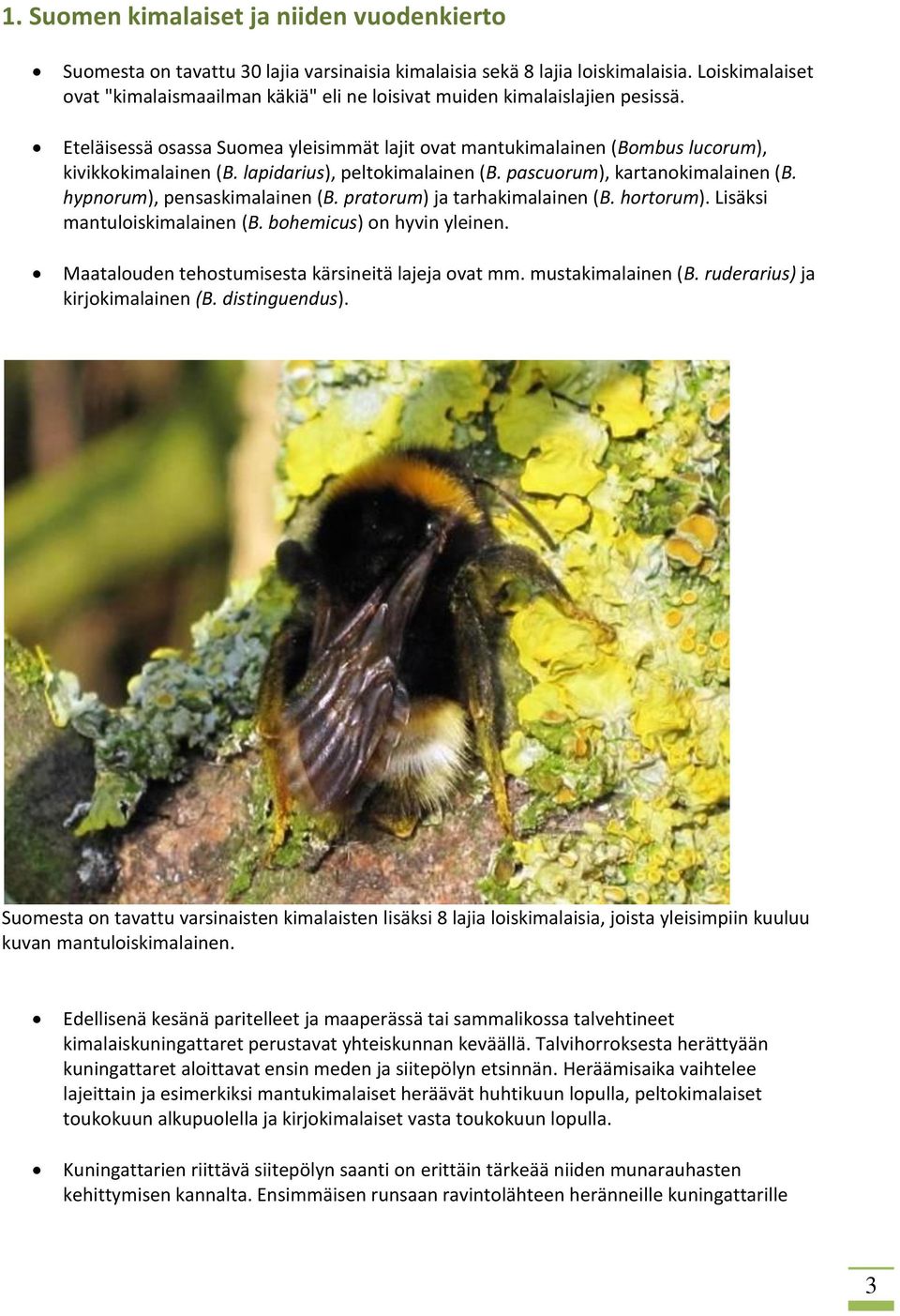 lapidarius), peltokimalainen (B. pascuorum), kartanokimalainen (B. hypnorum), pensaskimalainen (B. pratorum) ja tarhakimalainen (B. hortorum). Lisäksi mantuloiskimalainen (B.