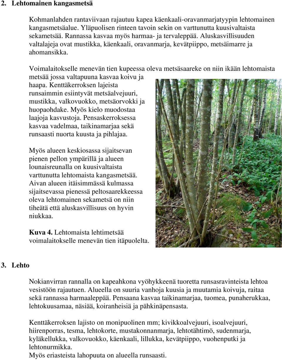 Voimalaitokselle menevän tien kupeessa oleva metsäsaareke on niin ikään lehtomaista metsää jossa valtapuuna kasvaa koivu ja haapa.