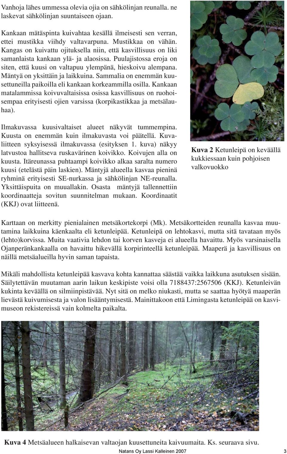 Puulajistossa eroja on siten, että kuusi on valtapuu ylempänä, hieskoivu alempana. Mäntyä on yksittäin ja laikkuina. Sammalia on enemmän kuusettuneilla paikoilla eli kankaan korkeammilla osilla.