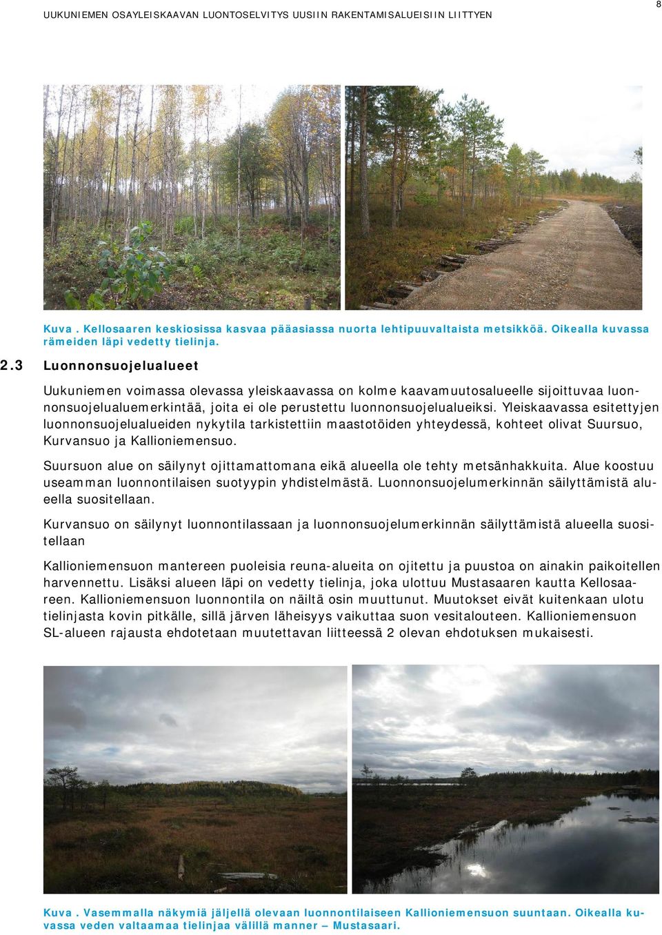 Yleiskaavassa esitettyjen luonnonsuojelualueiden nykytila tarkistettiin maastotöiden yhteydessä, kohteet olivat Suursuo, Kurvansuo ja Kallioniemensuo.