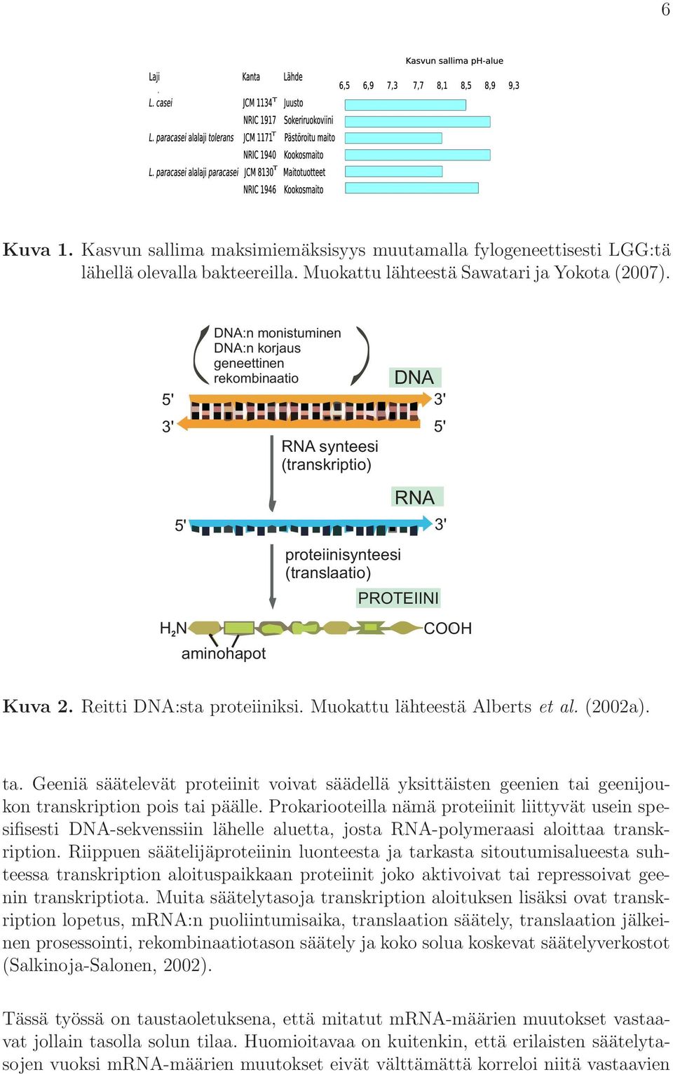 Reitti DNA:sta proteiiniksi. Muokattu lähteestä Alberts et al. (2002a). ta. Geeniä säätelevät proteiinit voivat säädellä yksittäisten geenien tai geenijoukon transkription pois tai päälle.