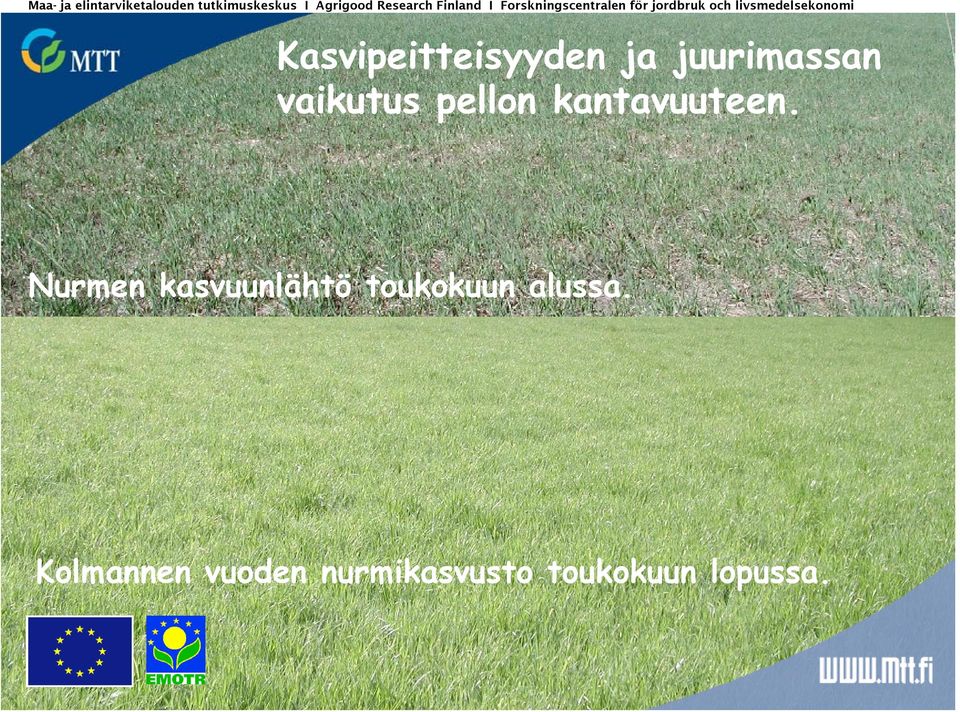 Kasvipeitteisyyden ja juurimassan vaikutus pellon kantavuuteen.