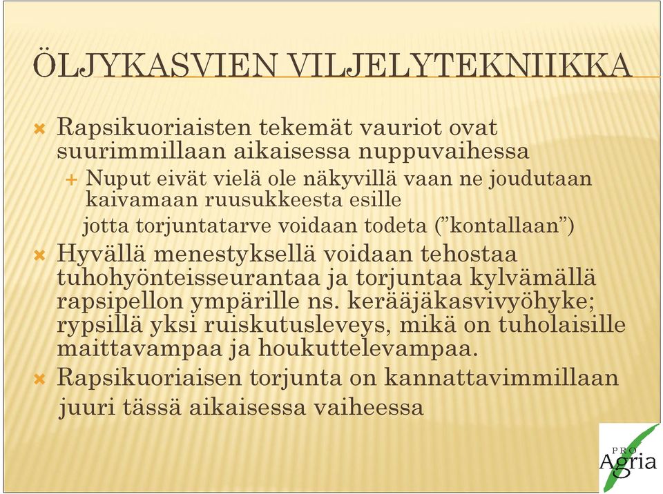 tehostaa tuhohyönteisseurantaa ja torjuntaa kylvämällä rapsipellon ympärille ns.