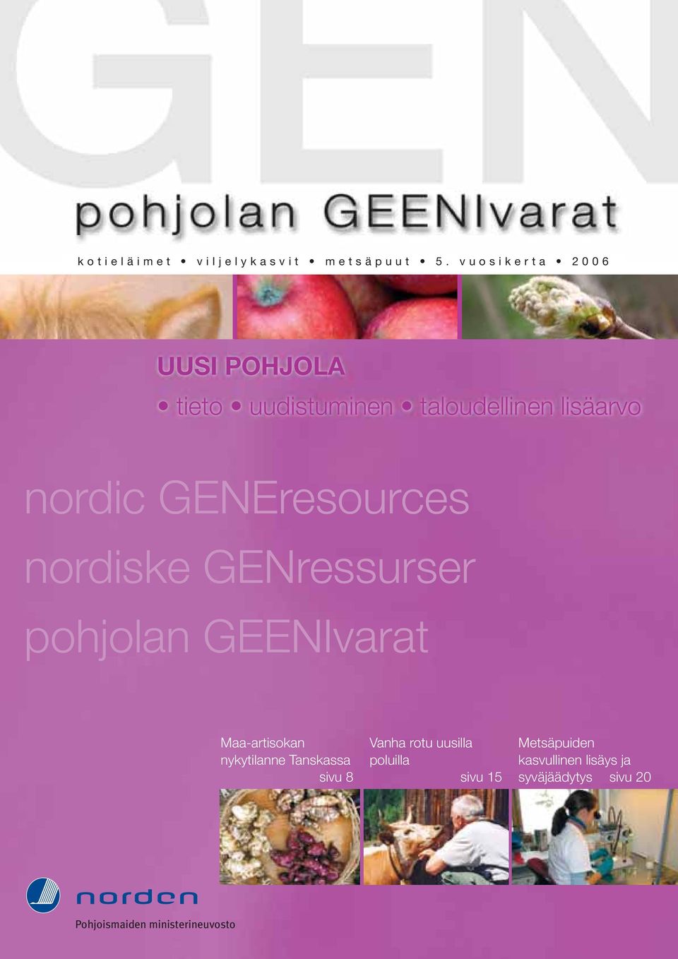 GENEresources nordiske GENressurser pohjolan GEENIvarat Maa-artisokan nykytilanne