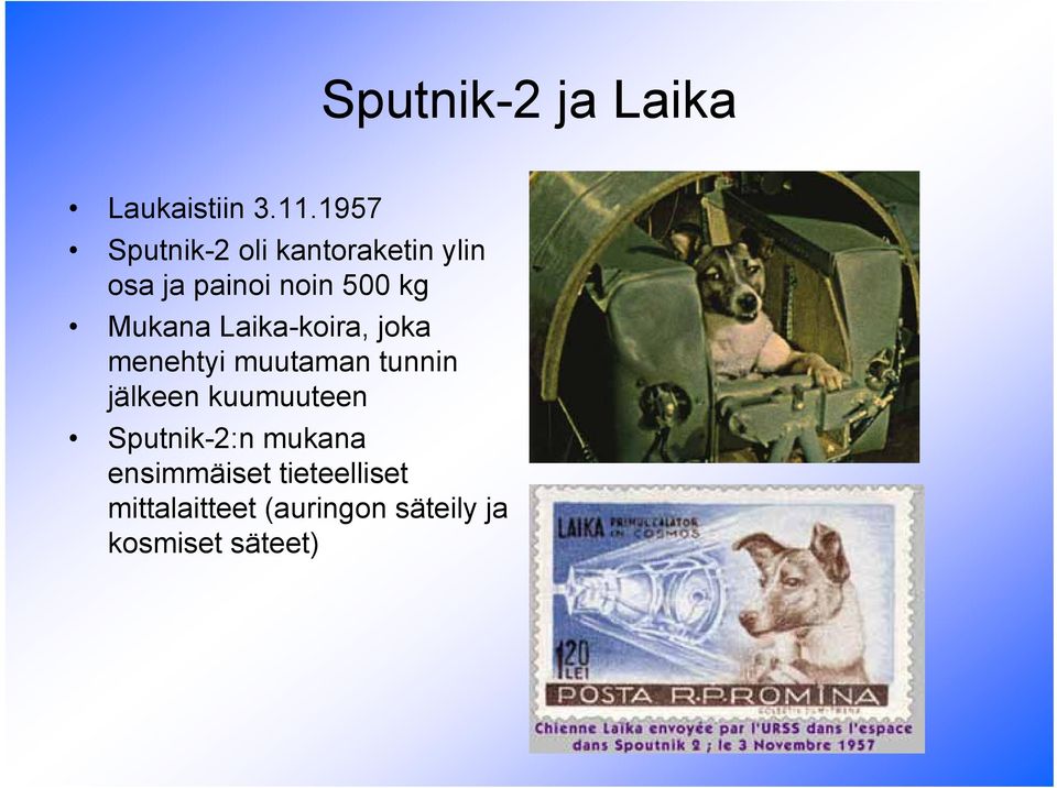 Mukana Laika-koira, joka menehtyi muutaman tunnin jälkeen