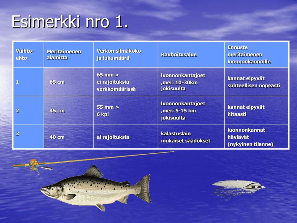 luonnonkannoille 1 65 cm 65 mm > ei rajoituksia verkkomäärissä luonnonkantajoet,meri 10-30km jokisuulta