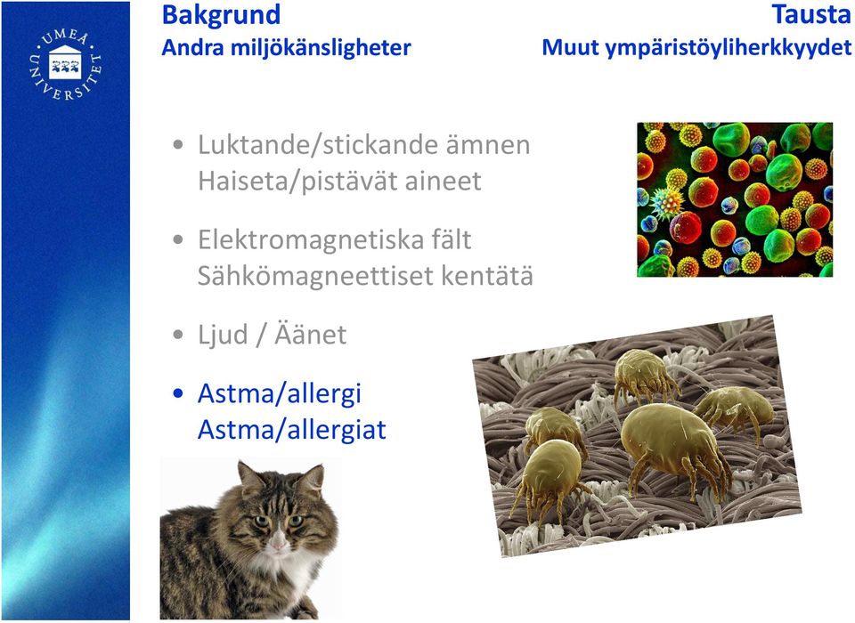 Haiseta/pistävät aineet Elektromagnetiska fält