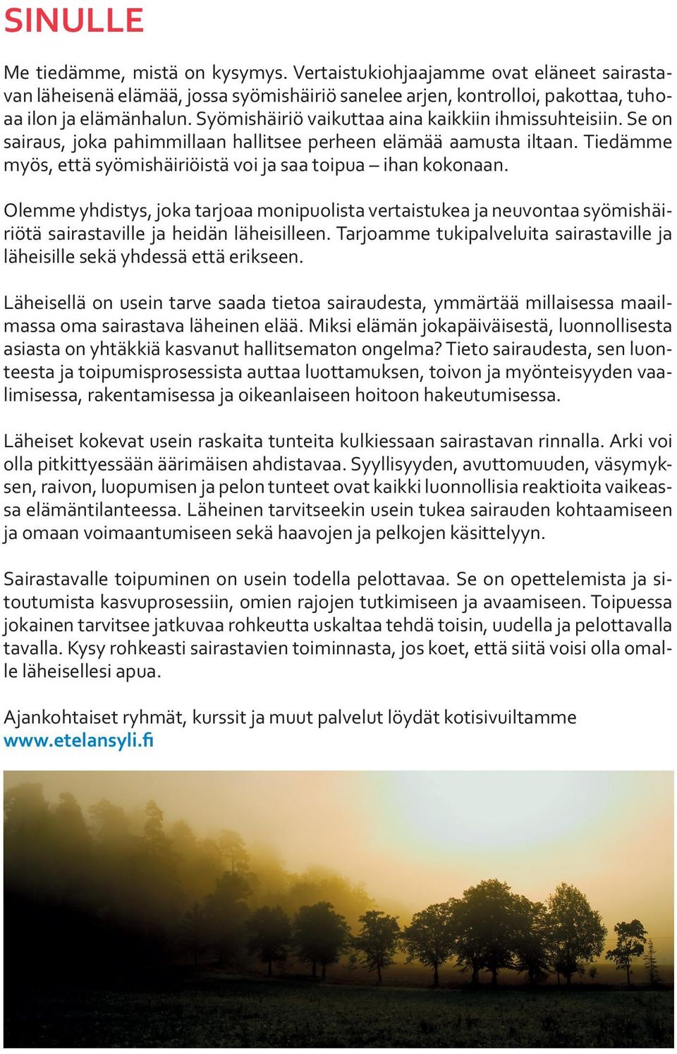 Olemme yhdistys, joka tarjoaa monipuolista vertaistukea ja neuvontaa syömishäiriötä sairastaville ja heidän läheisilleen.