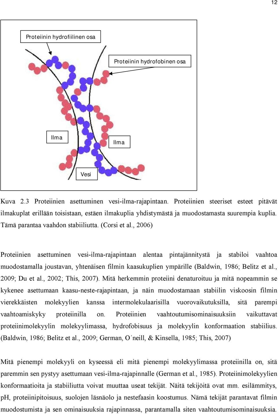 , 2006) Proteiinien asettuminen vesi-ilma-rajapintaan alentaa pintajännitystä ja stabiloi vaahtoa muodostamalla joustavan, yhtenäisen filmin kaasukuplien ympärille (Baldwin, 1986; Belitz et al.