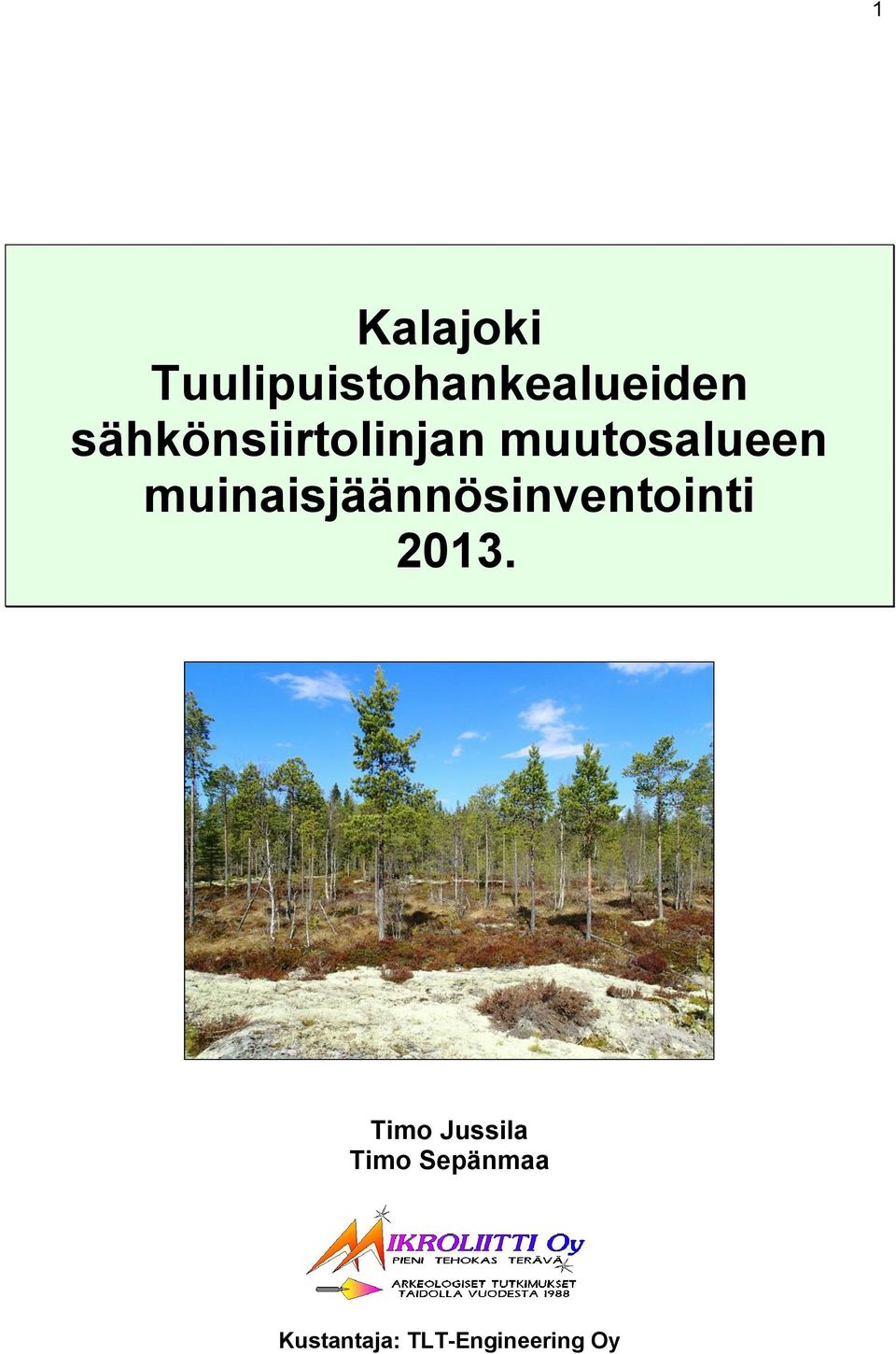 muinaisjäännösinventointi 2013.