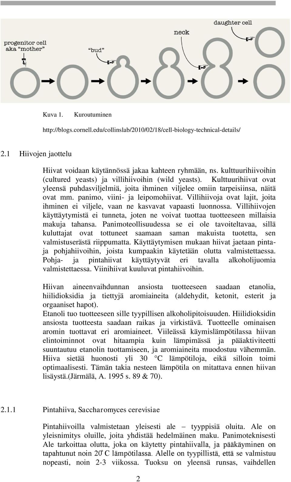 panimo, viini- ja leipomohiivat. Villihiivoja ovat lajit, joita ihminen ei viljele, vaan ne kasvavat vapaasti luonnossa.