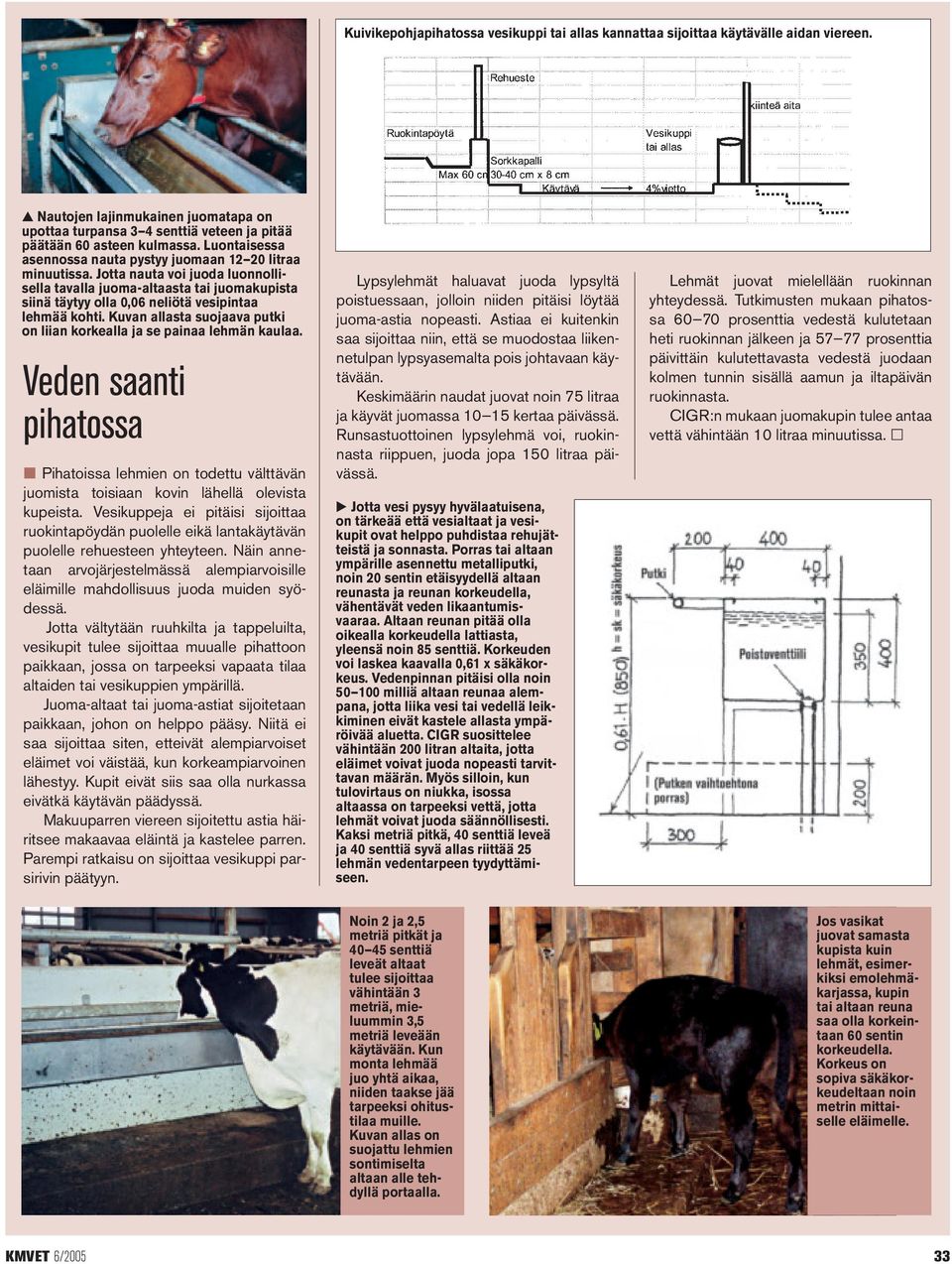 Jotta nauta voi juoda luonnollisella tavalla juoma-altaasta tai juomakupista siinä täytyy olla 0,06 neliötä vesipintaa lehmää kohti.