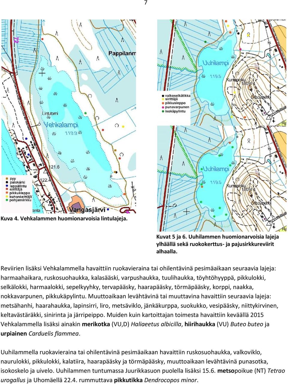 pikkulokki, selkälokki, harmaalokki, sepelkyyhky, tervapääsky, haarapääsky, törmäpääsky, korppi, naakka, nokkavarpunen, pikkukäpylintu.