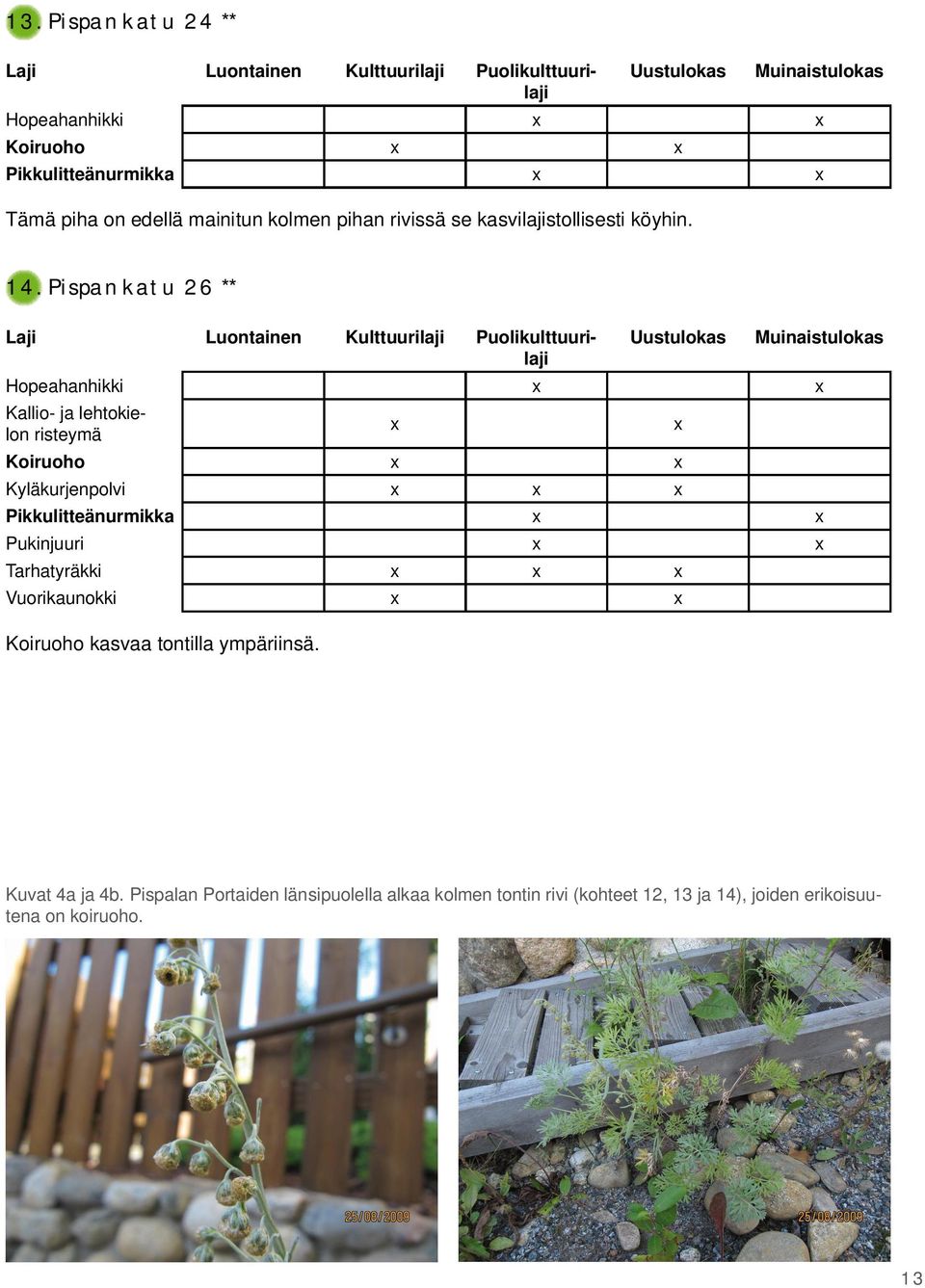 Pispankatu 26 ** Hopeahanhikki Kallio- ja lehtokielon risteymä Koiruoho Kyläkurjenpolvi Pikkulitteänurmikka