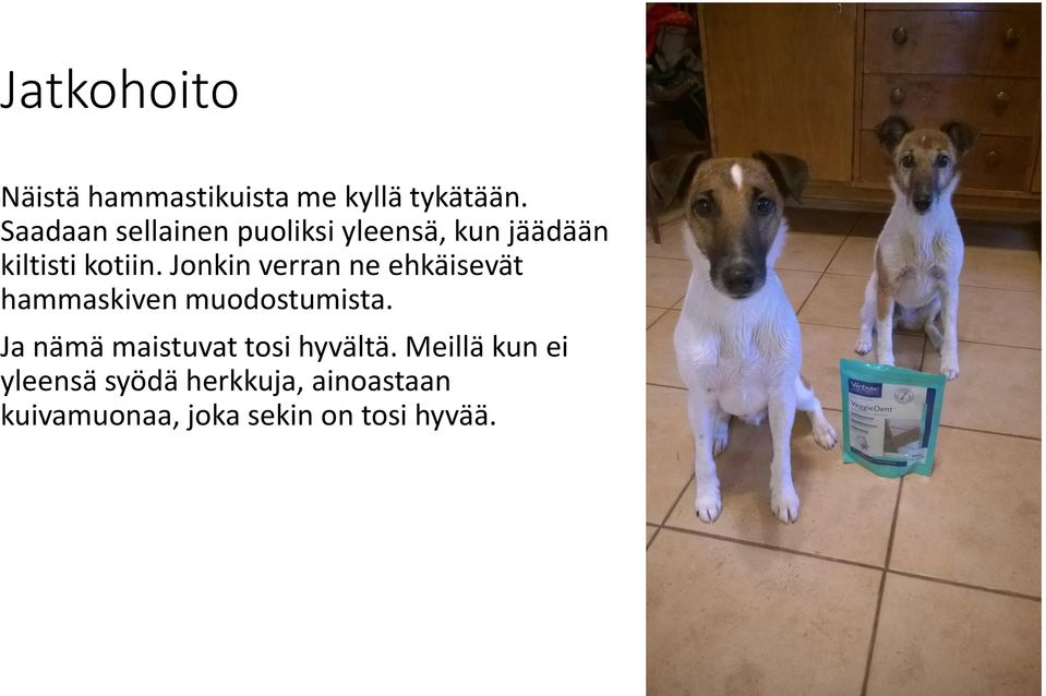 Jonkin verran ne ehkäisevät hammaskiven muodostumista.