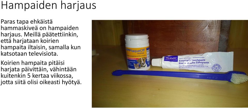 kun katsotaan televisiota.