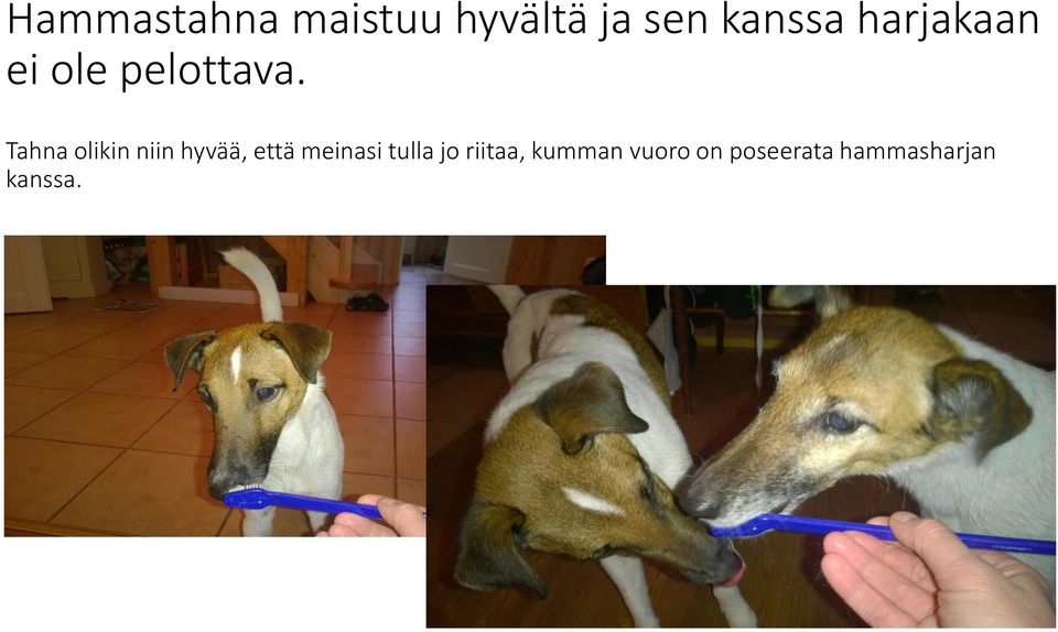 Tahna olikin niin hyvää, että meinasi