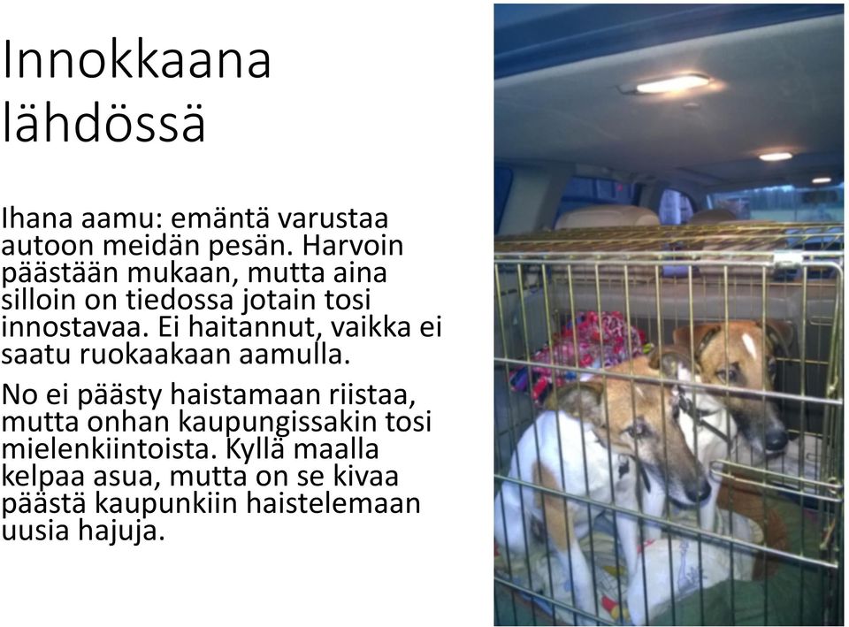 Ei haitannut, vaikka ei saatu ruokaakaan aamulla.