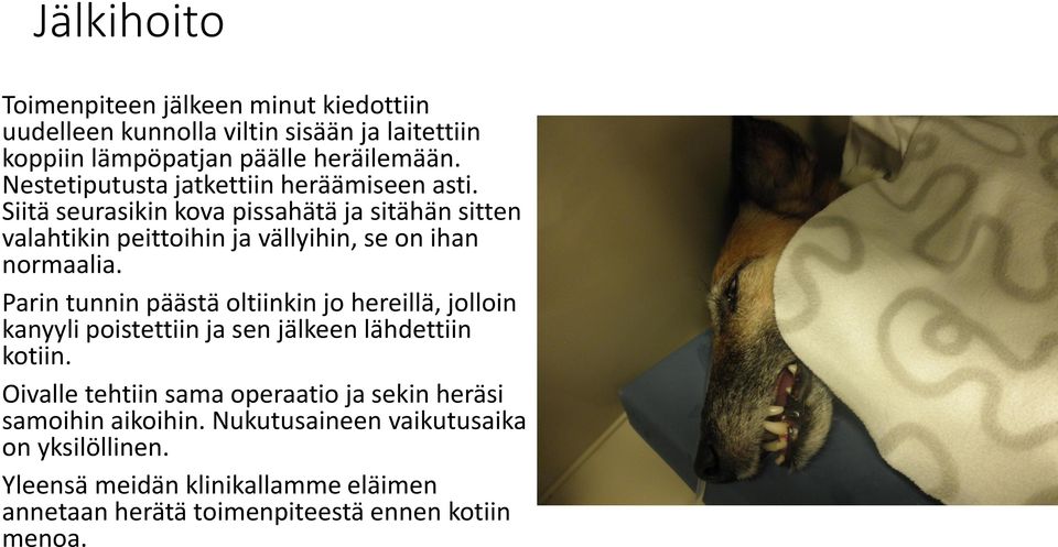 Siitä seurasikin kova pissahätä ja sitähän sitten valahtikin peittoihin ja vällyihin, se on ihan normaalia.