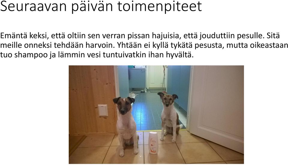 Sitä meille onneksi tehdään harvoin.