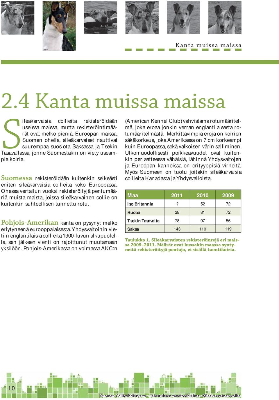 Suomessa rekisteröidään kuitenkin selkeästi eniten sileä karvaisia collieita koko Euroopassa.