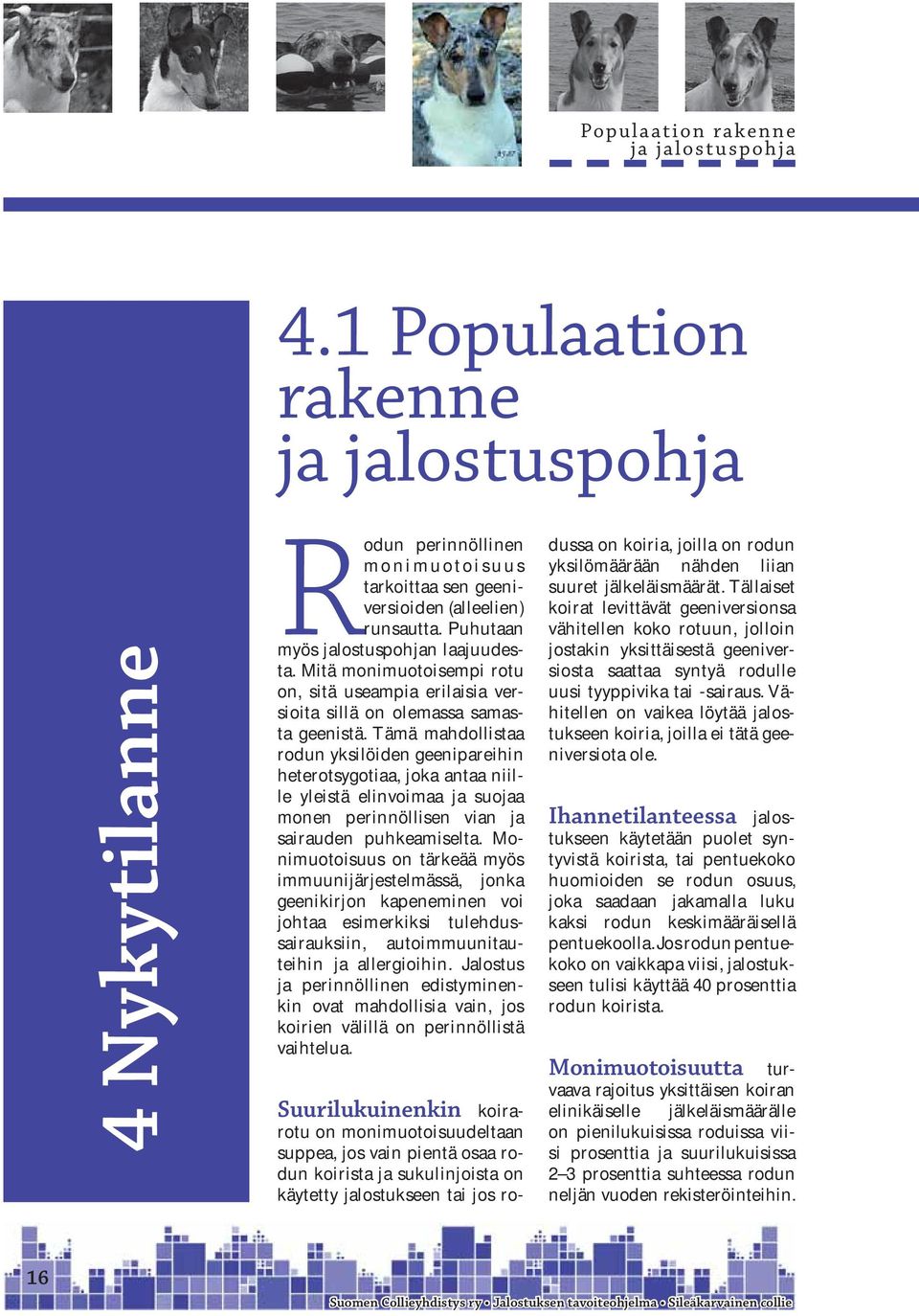 Tämä mahdollistaa rodun yksilöiden geenipareihin heterotsygotiaa, joka antaa niille yleistä elinvoimaa ja suojaa monen perinnöllisen vian ja sairauden puhkeamiselta.