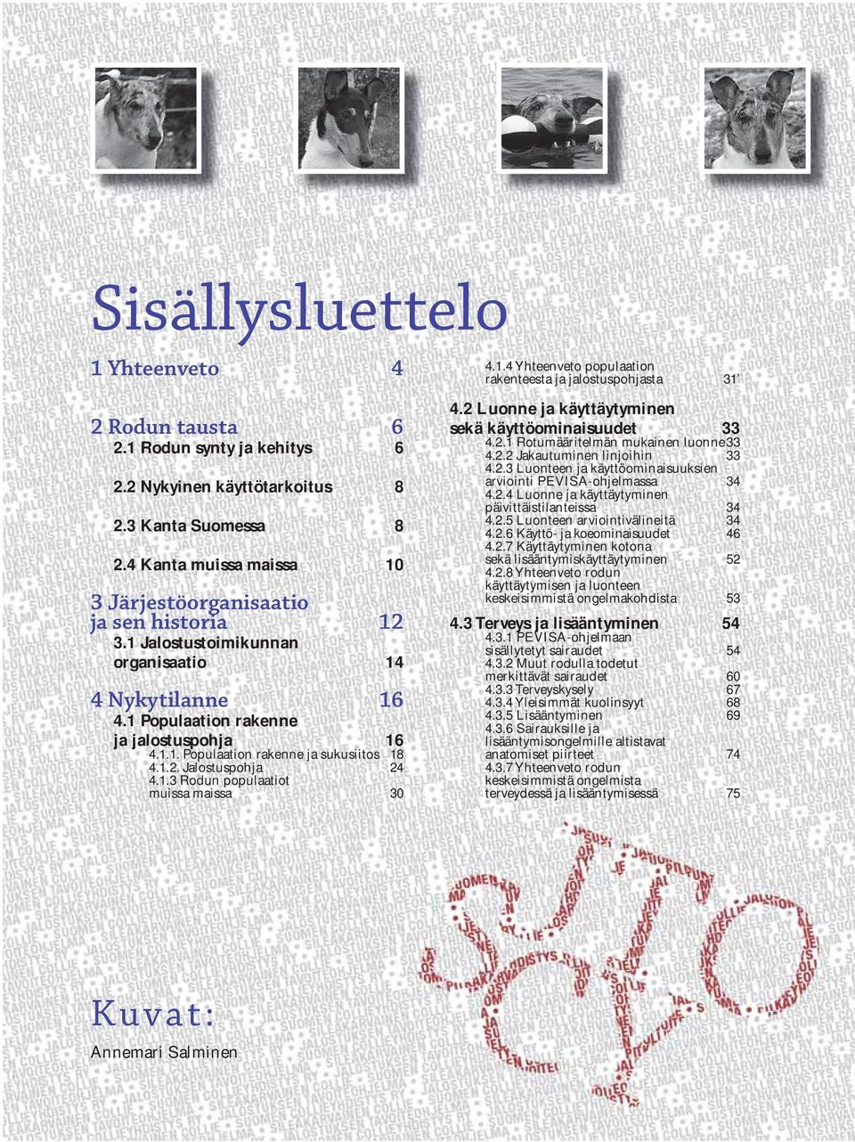 1.2. Jalostuspohja 24 4.1.3 Rodun populaatiot muissa maissa 30 4.1.4 Yhteenveto populaation rakenteesta ja jalostuspohjasta 31 4.2 Luonne ja käyttäytyminen sekä käyttöominaisuudet 33 4.2.1 Rotumääritelmän mukainen luonne 33 4.