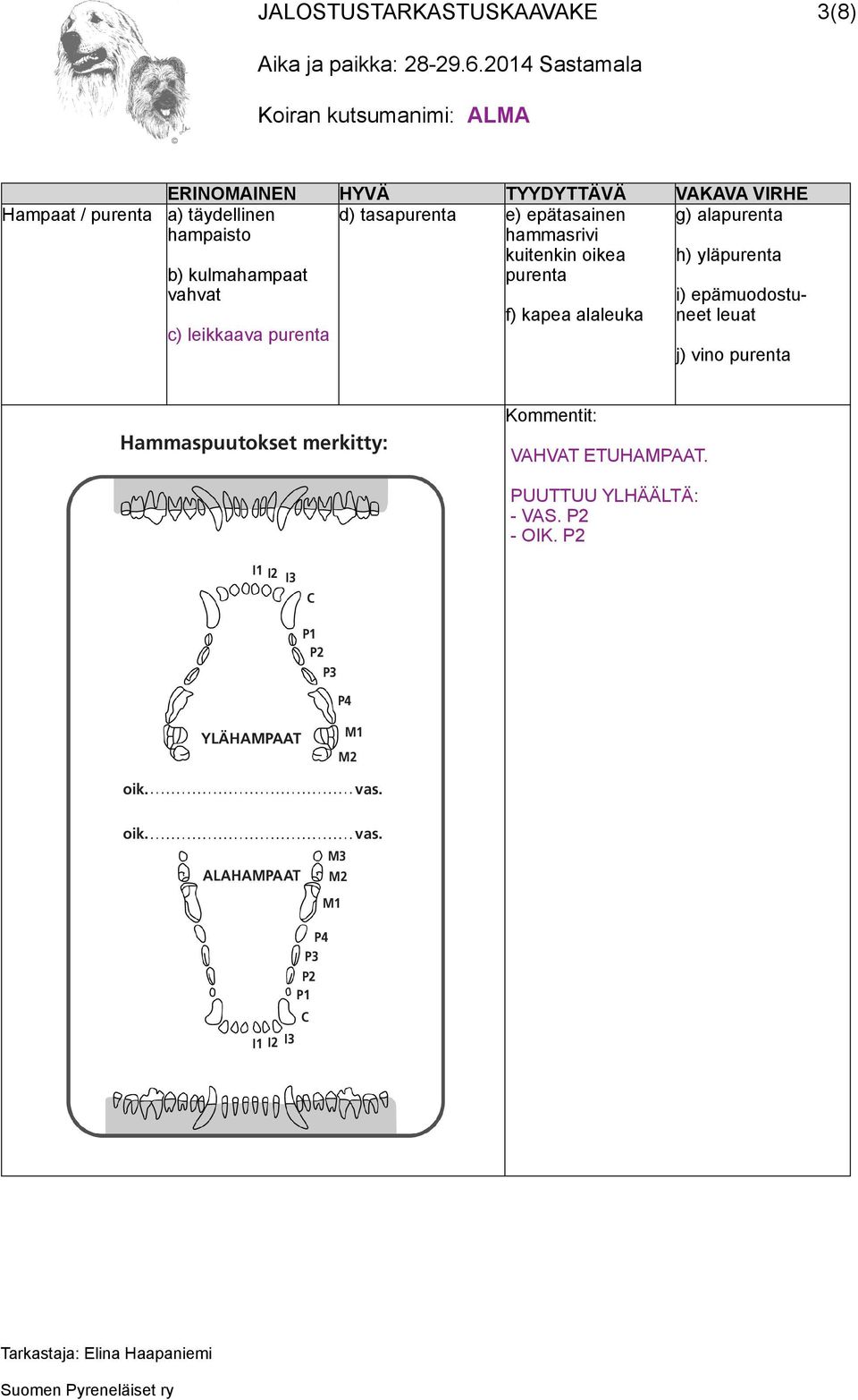 yläpurenta i) epämuodostuneet leuat j) vino purenta Hammaspuutokset merkitty: VAHVAT ETUHAMPAAT.