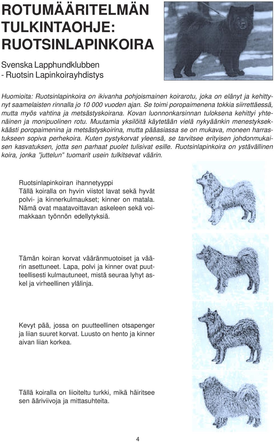 Kovan luonnonkarsinnan tuloksena kehittyi yhtenäinen ja monipuolinen rotu.