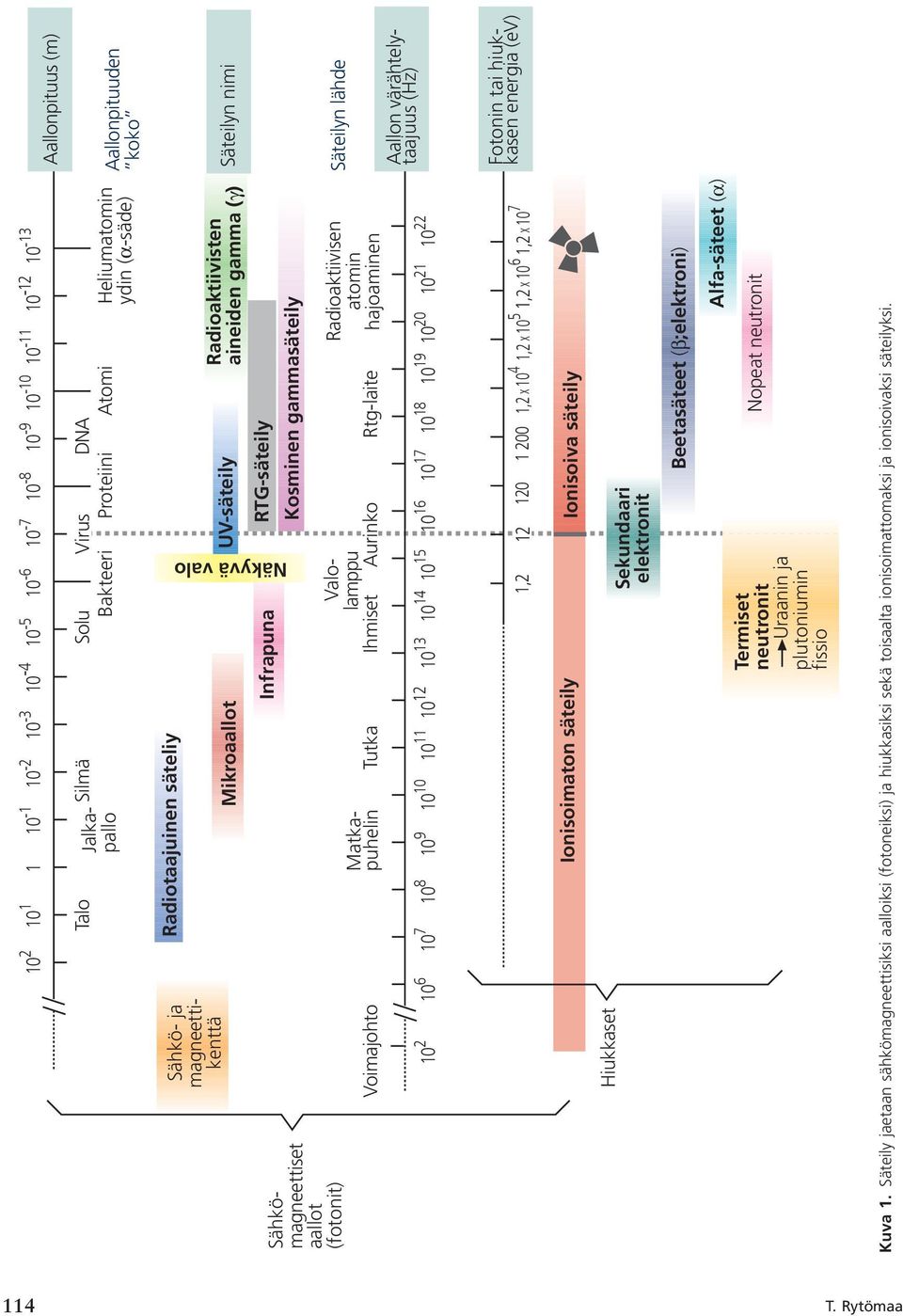 Sähkömagneettiset aallot (fotonit) Matkapuhelin Voimajohto Tutka Ihmiset Sähkö- ja magneettikenttä Aurinko Rtg-laite Radioaktiivisen atomin hajoaminen 10 2 10 6 10 7 10 8 10 9 10 10 10 11 10 12 10 13