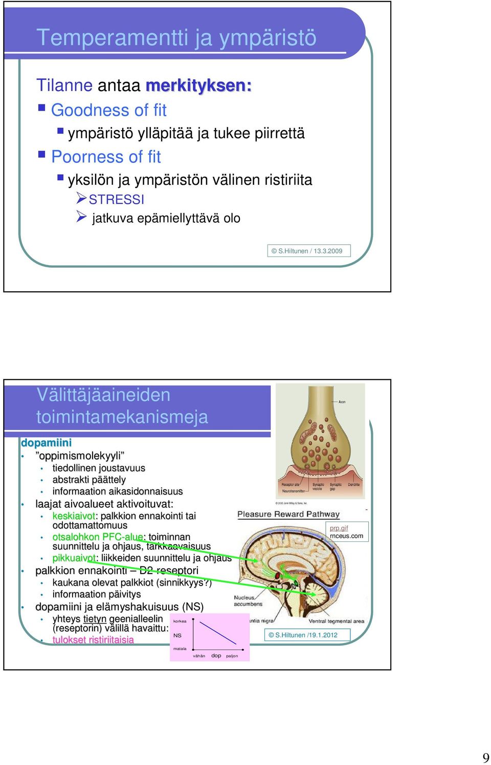 3.2009 Välittäjäaineiden toimintamekanismeja dopamiini oppimismolekyyli tiedollinen joustavuus abstrakti pääp äättely informaation aikasidonnaisuus laajat aivoalueet aktivoituvat: keskiaivot: :