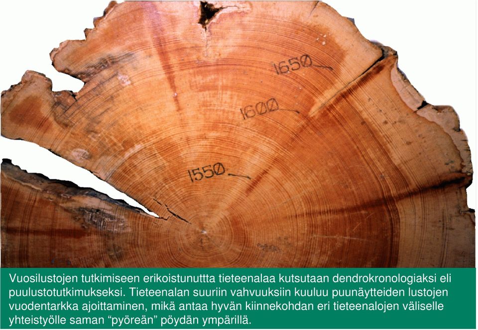 Tieteenalan suuriin vahvuuksiin kuuluu puunäytteiden lustojen vuodentarkka