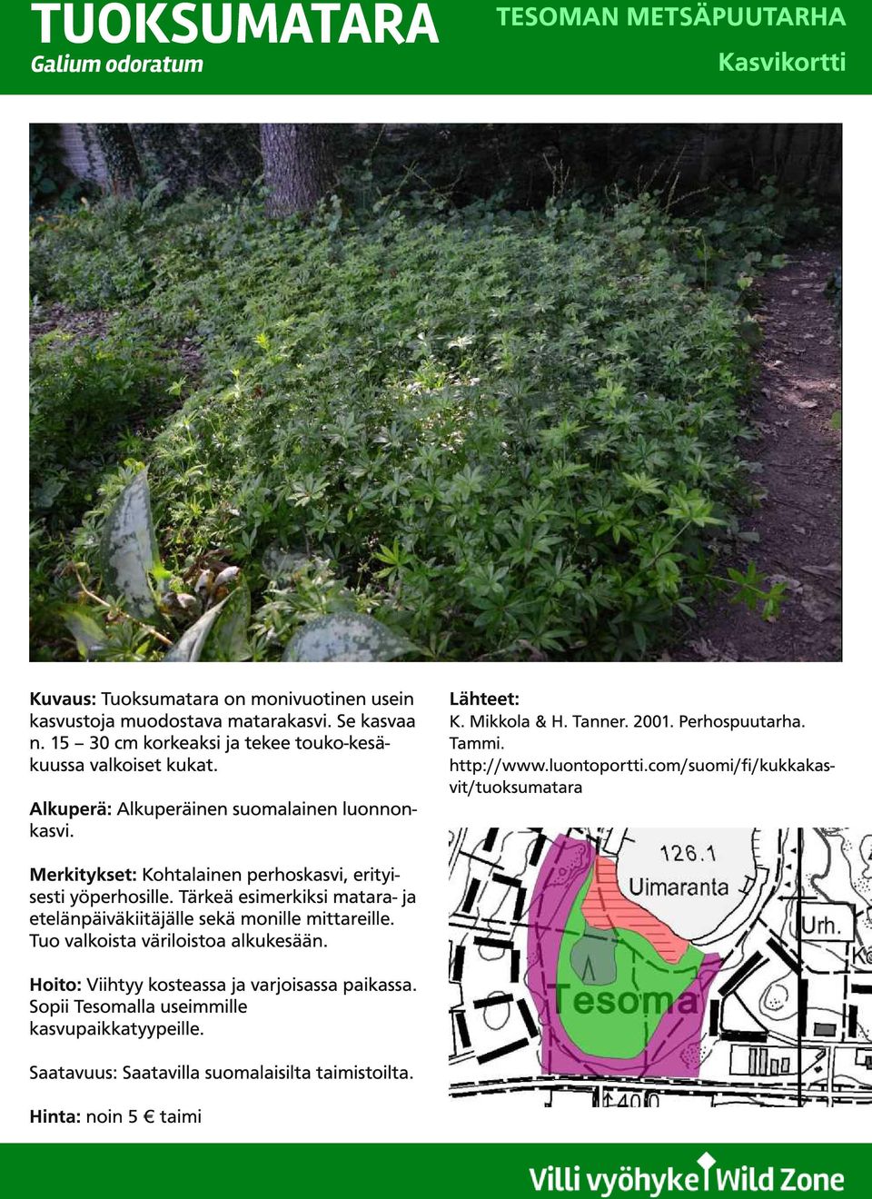 Tärkeä esimerkiksi matara- ja etelänpäiväkiitäjälle sekä monille mittareille. Tuo valkoista väriloistoa alkukesään. Hoito: Viihtyy kosteassa ja varjoisassa paikassa.