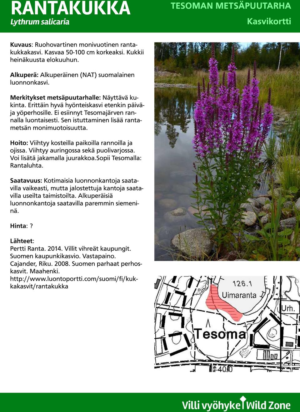 Sen istuttaminen lisää rantametsän monimuotoisuutta. Hoito: Viihtyy kosteilla paikoilla rannoilla ja ojissa. Viihtyy auringossa sekä puolivarjossa. Voi lisätä jakamalla juurakkoa.