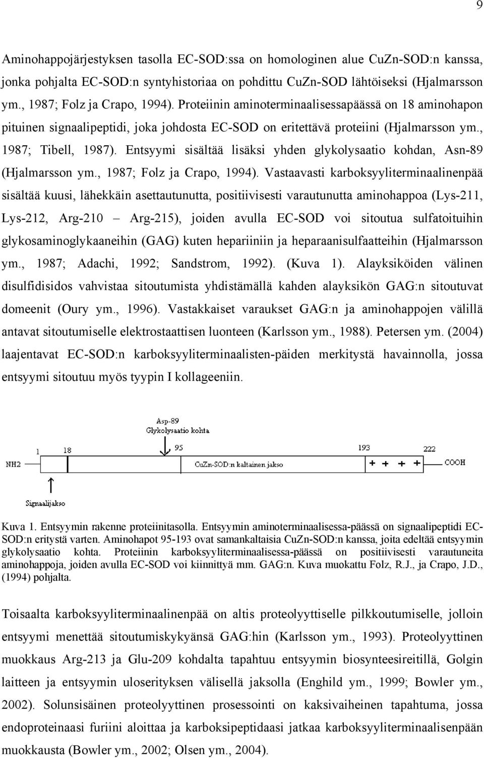 Entsyymi sisältää lisäksi yhden glykolysaatio kohdan, Asn-89 (Hjalmarsson ym., 1987; Folz ja Crapo, 1994).