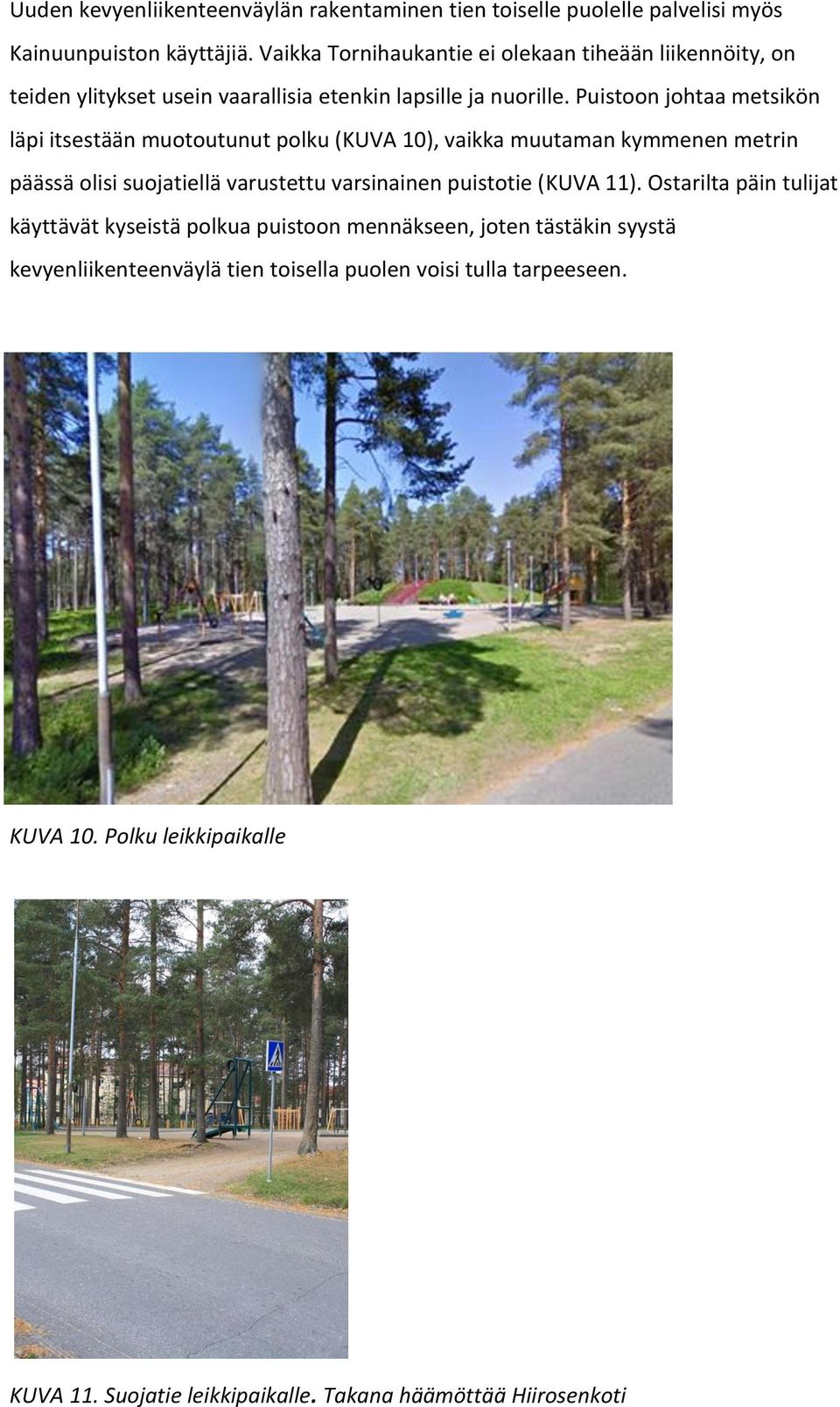 Puistoon johtaa metsikön läpi itsestään muotoutunut polku (KUVA 10), vaikka muutaman kymmenen metrin päässä olisi suojatiellä varustettu varsinainen puistotie