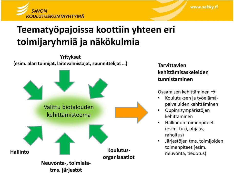 kehittämisteema Neuvonta, toimialatms.